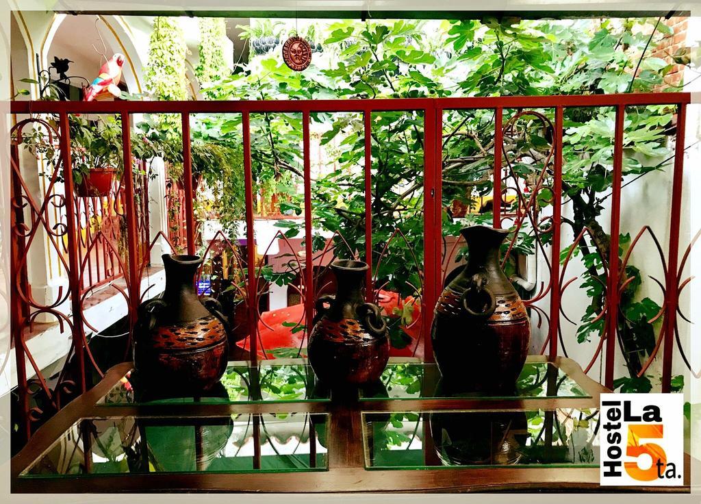 Hostel La Quinta Antigua Bagian luar foto